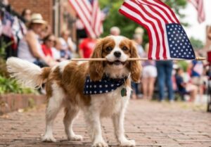 dog with flag