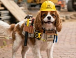 dog with tool belt 3